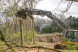 excavator drum mulcher - extreme duty | blue diamond