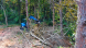 brush cutter - heavy duty - mini excavator | blue diamond