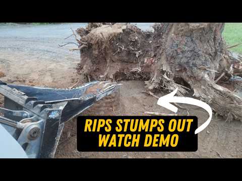 stump bucket - severe duty | blue diamond
